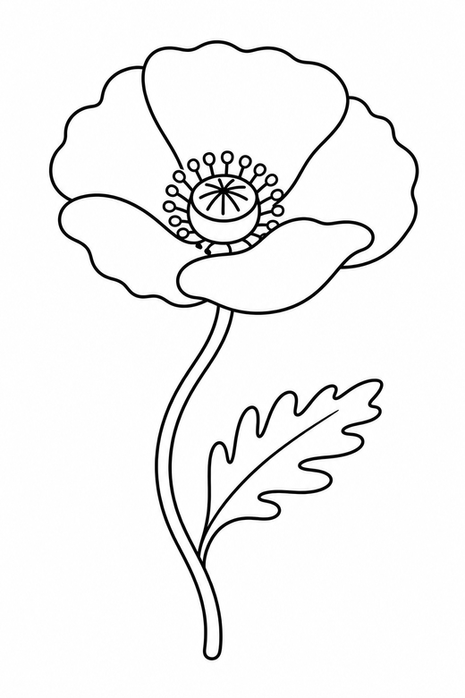 Single poppy, color online